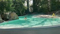 Piscine intérieure