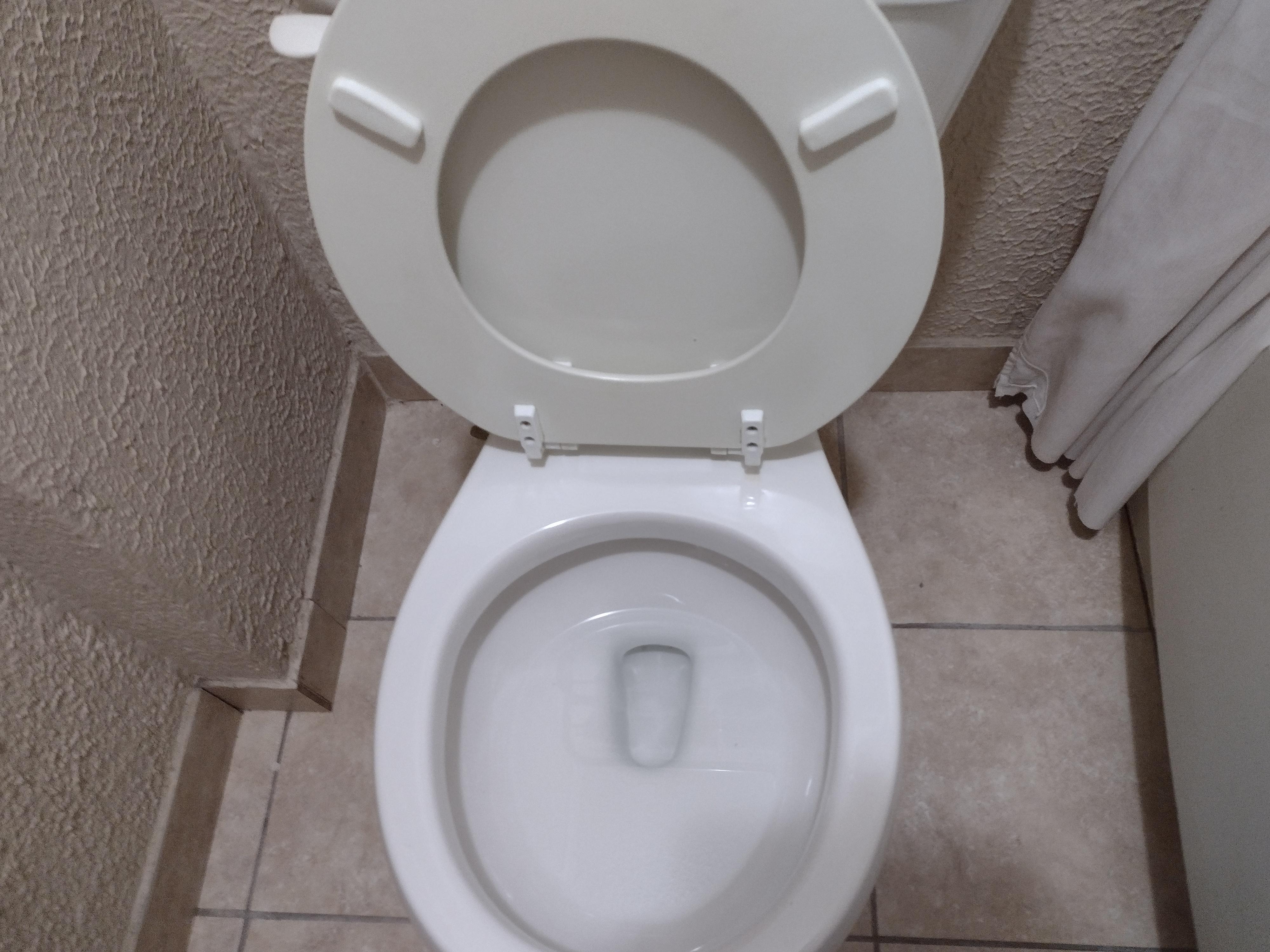 Clean toilet