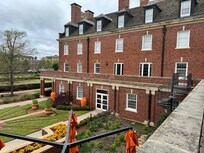 Looking out from the terrace.