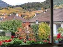 Vue du salon au petit déjeuner.