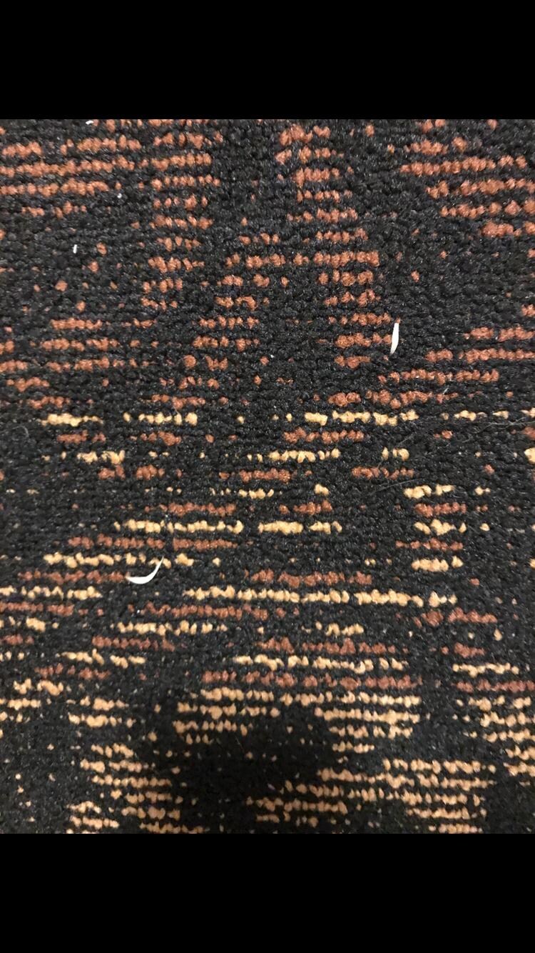 3 days of finger nail clippings left on the rug after begging them to vacuum each day!