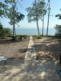 The back yard