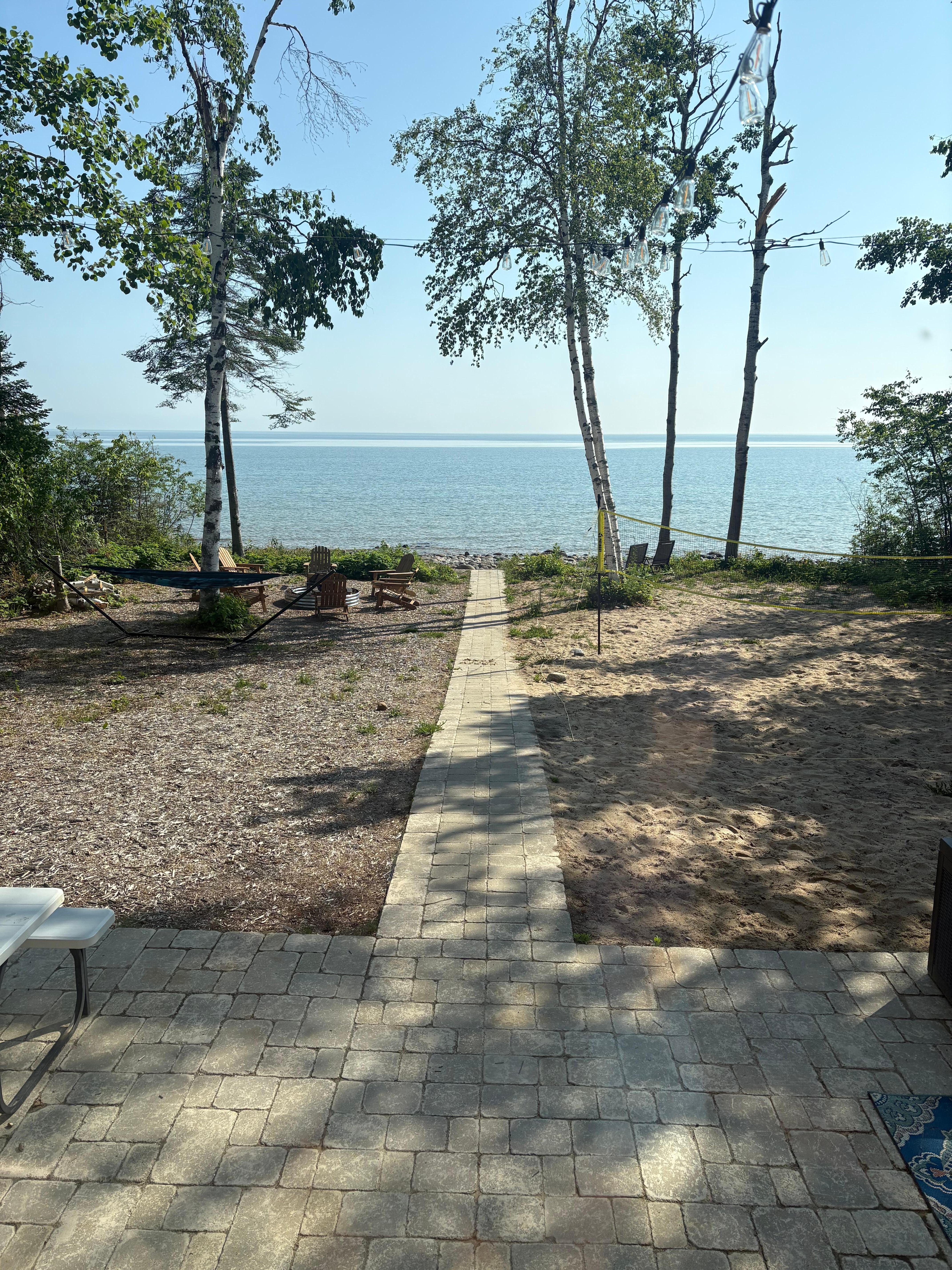 The back yard