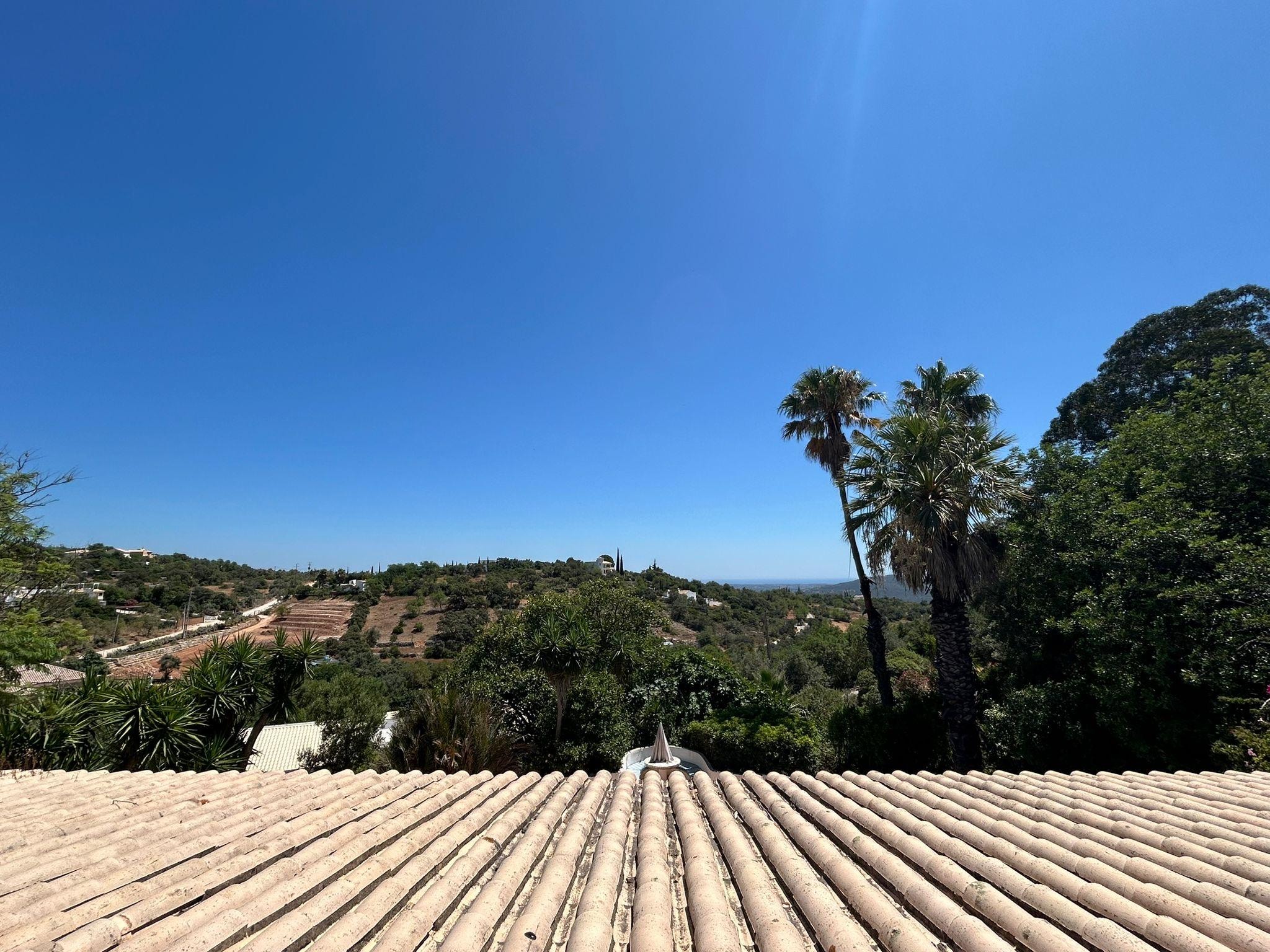 View from roof terrace 