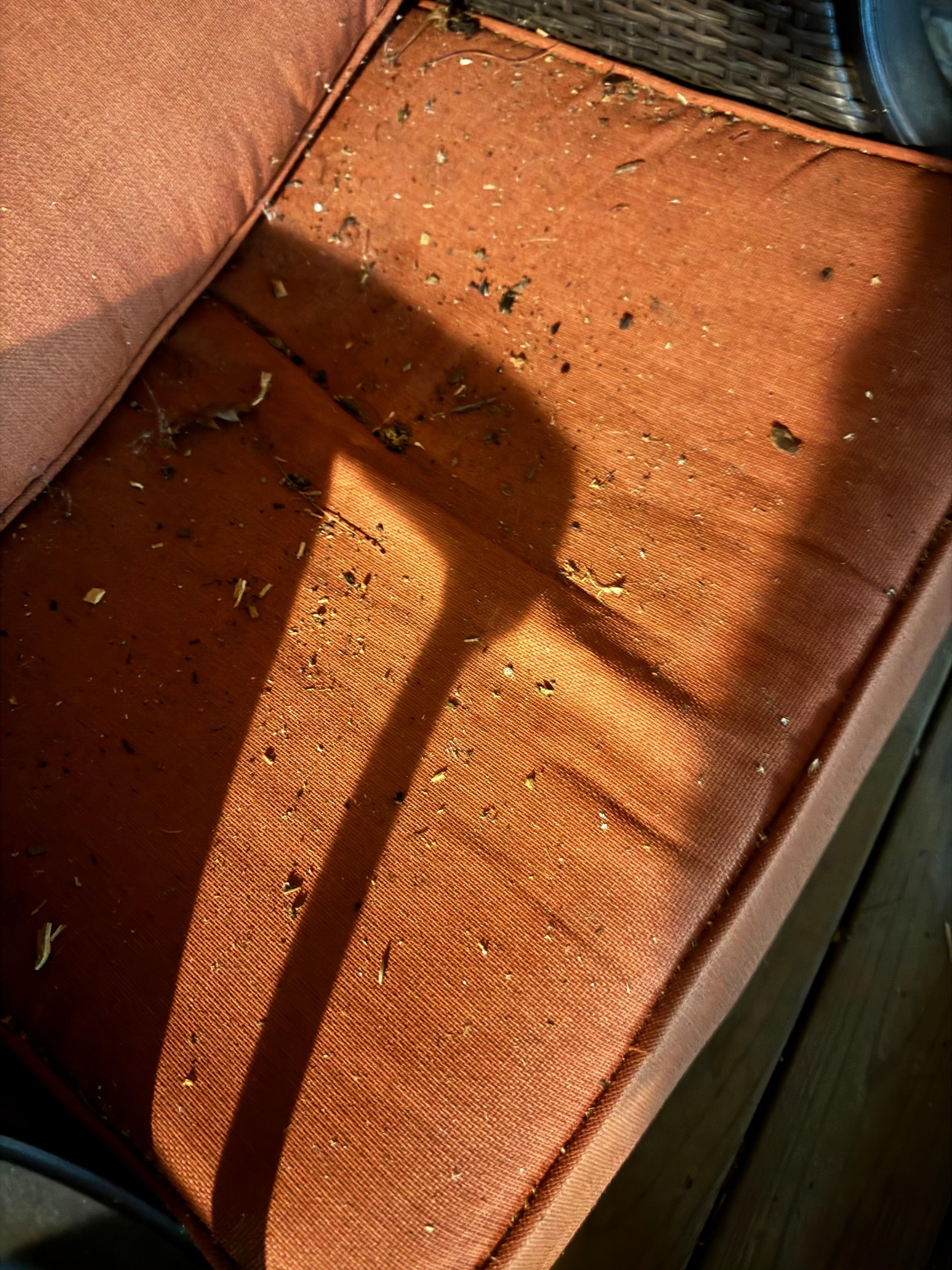 Dirty outdoor furniture 