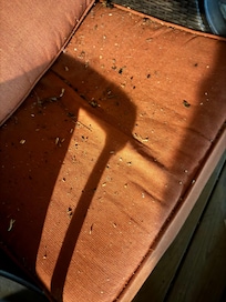 Dirty outdoor furniture