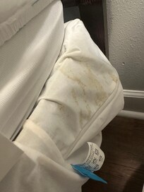 Vomit stained box spring cover.