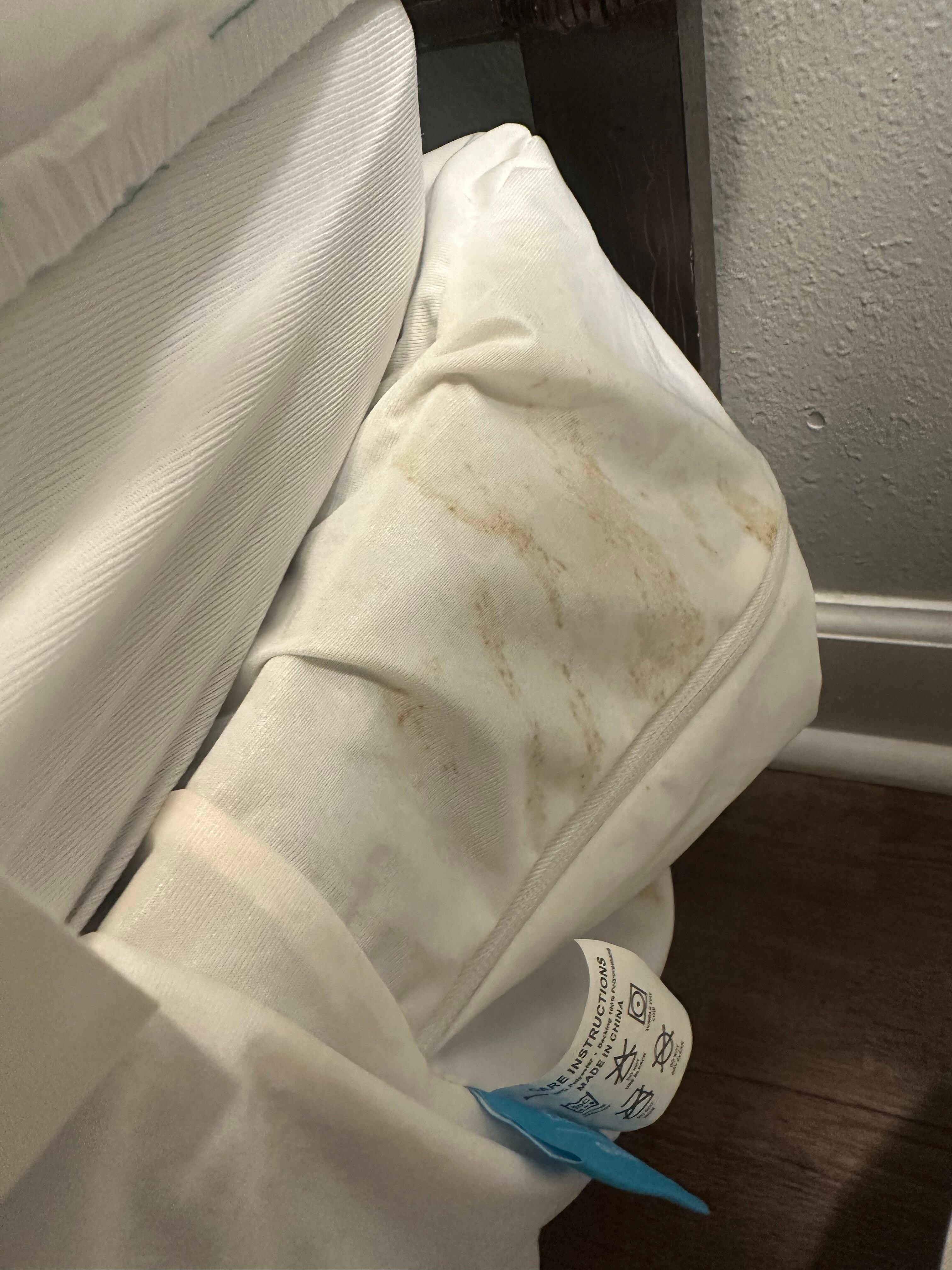 Vomit stained box spring cover. 