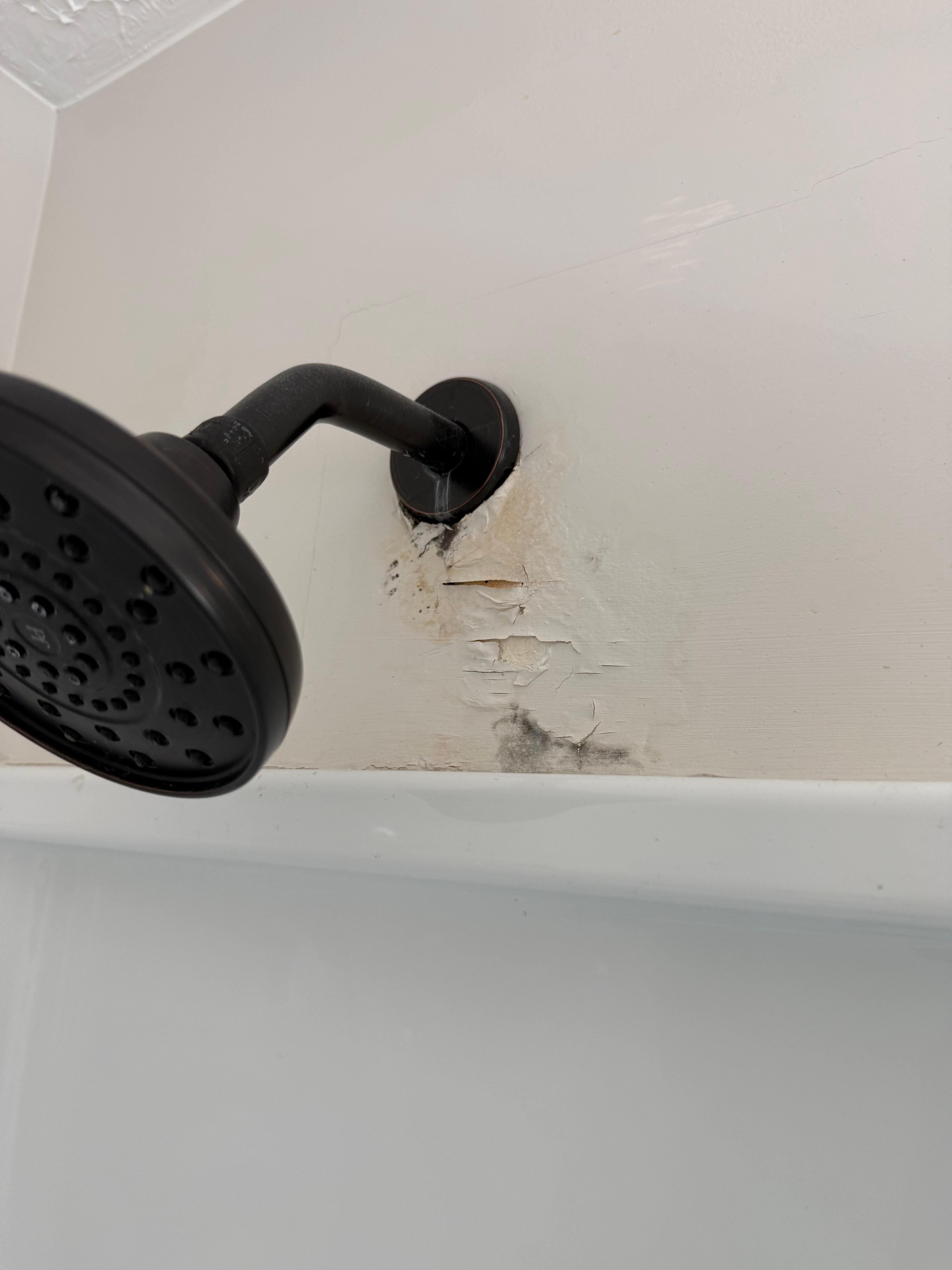 mold on damaged wall?