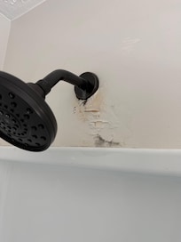 mold on damaged wall?