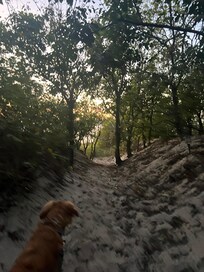 Our little puppy peeking through the opening leading to the bay.