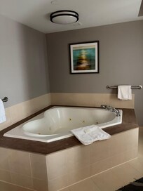 Beautiful jacuzzi room,