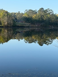 Morning on the river 3/22/2026
