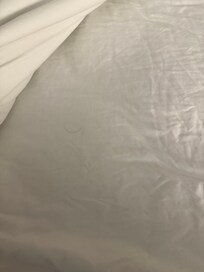 The picture doesn’t do any justice but I took videos to send to the manager