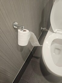 Broken TP roll holder.