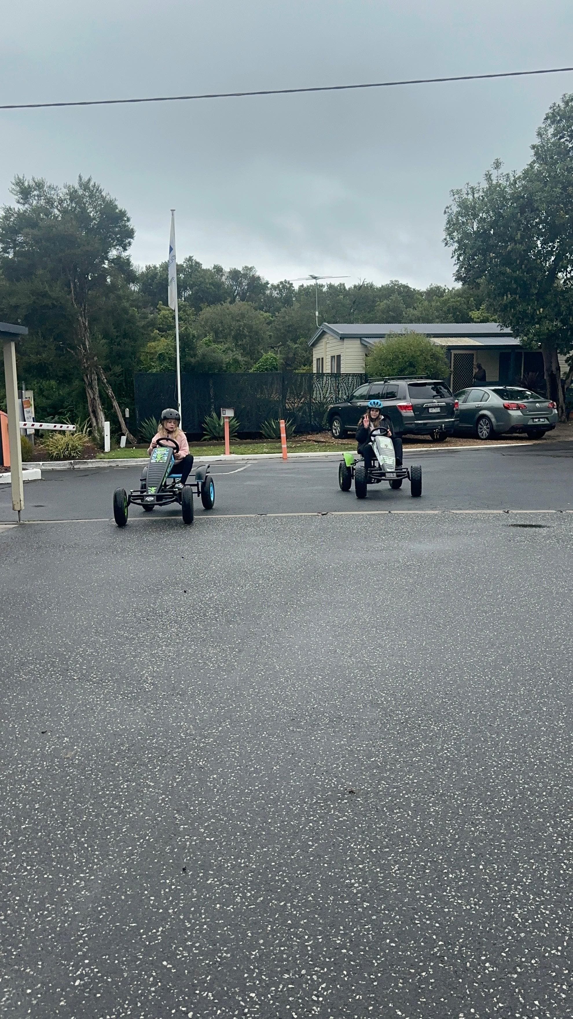 The kids loved the go carts, wish they were free! 