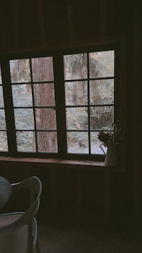 Kitchen window