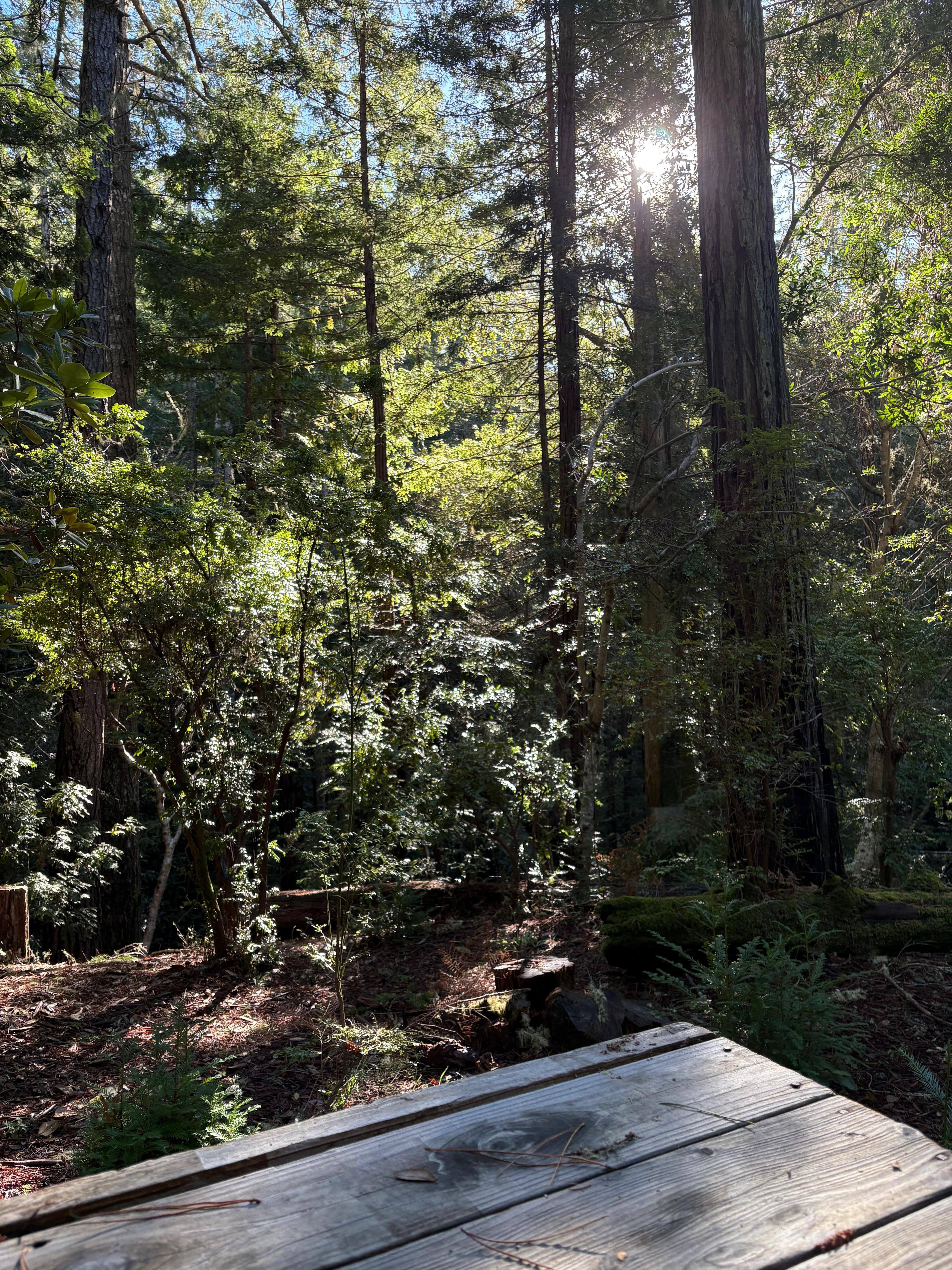 View from the hot tub
