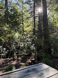 View from the hot tub