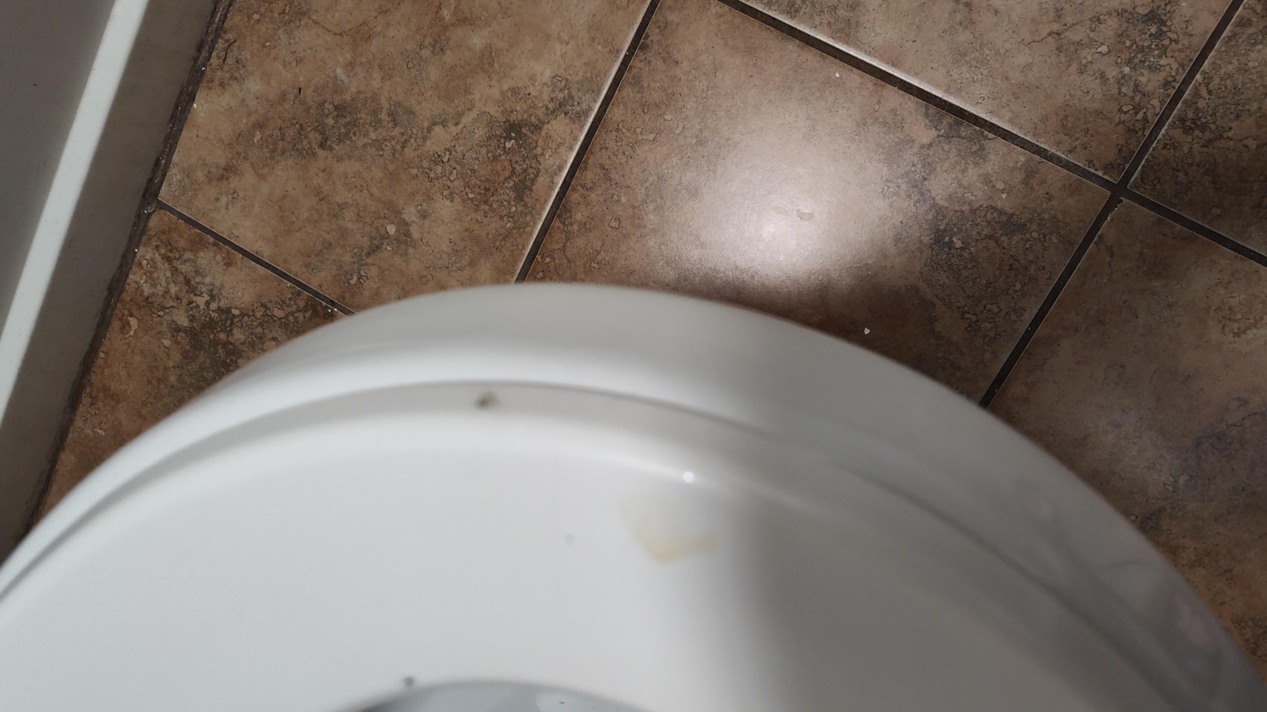 This was the toilet seat when I got there