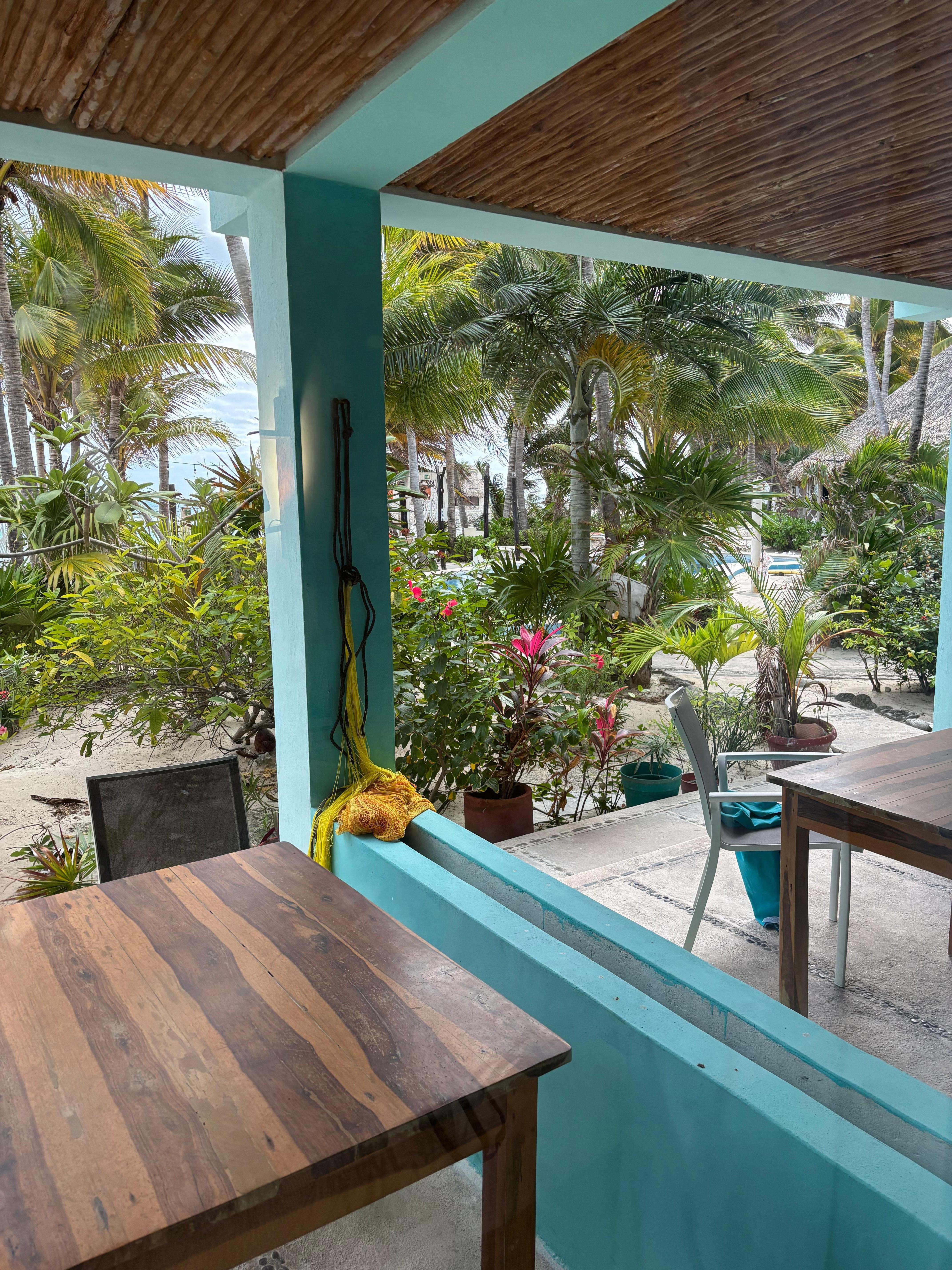 The view from our room 