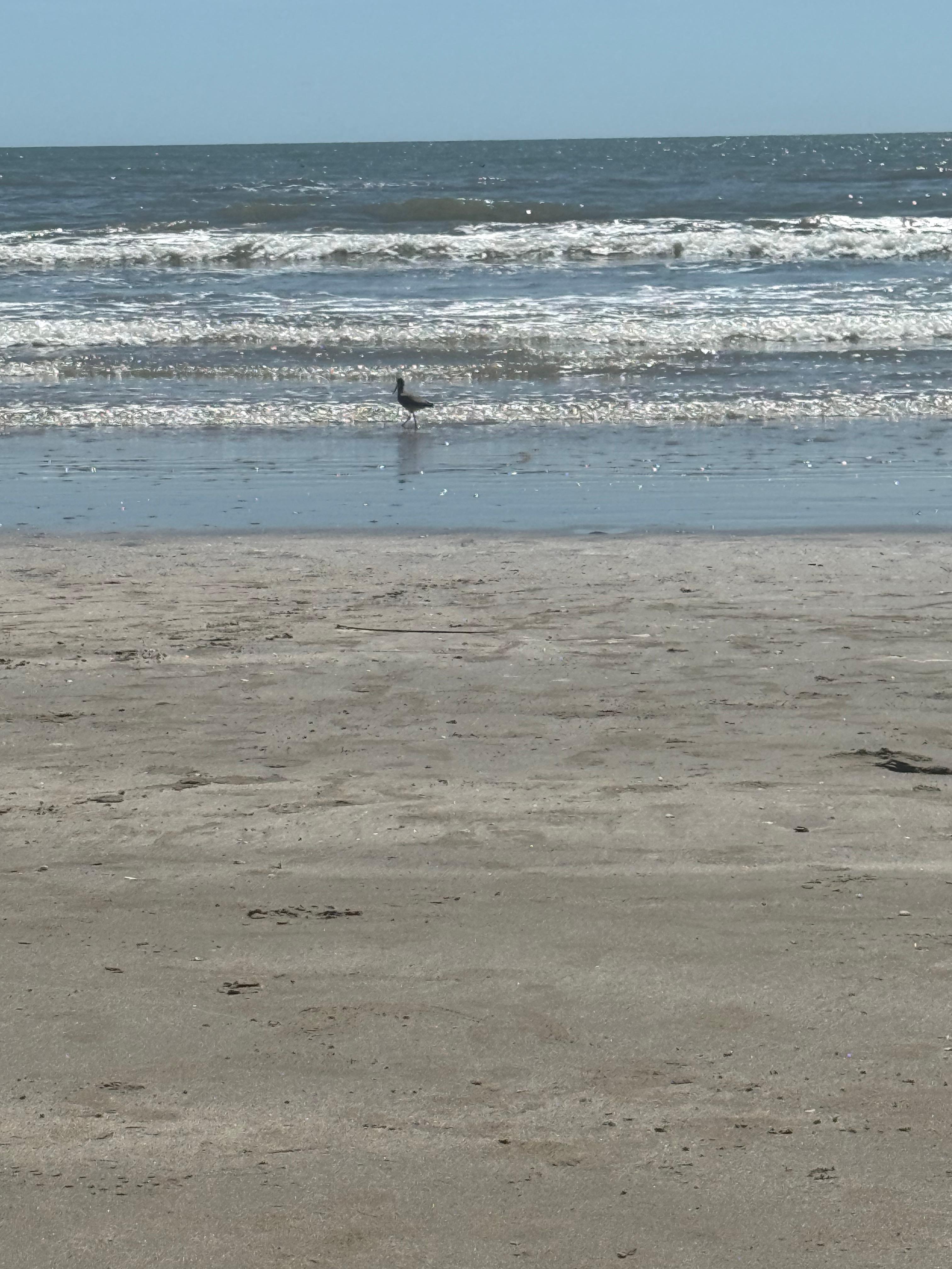 Beach right across the street. 