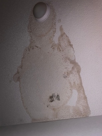 mold and water damage on ceiling in laundry room