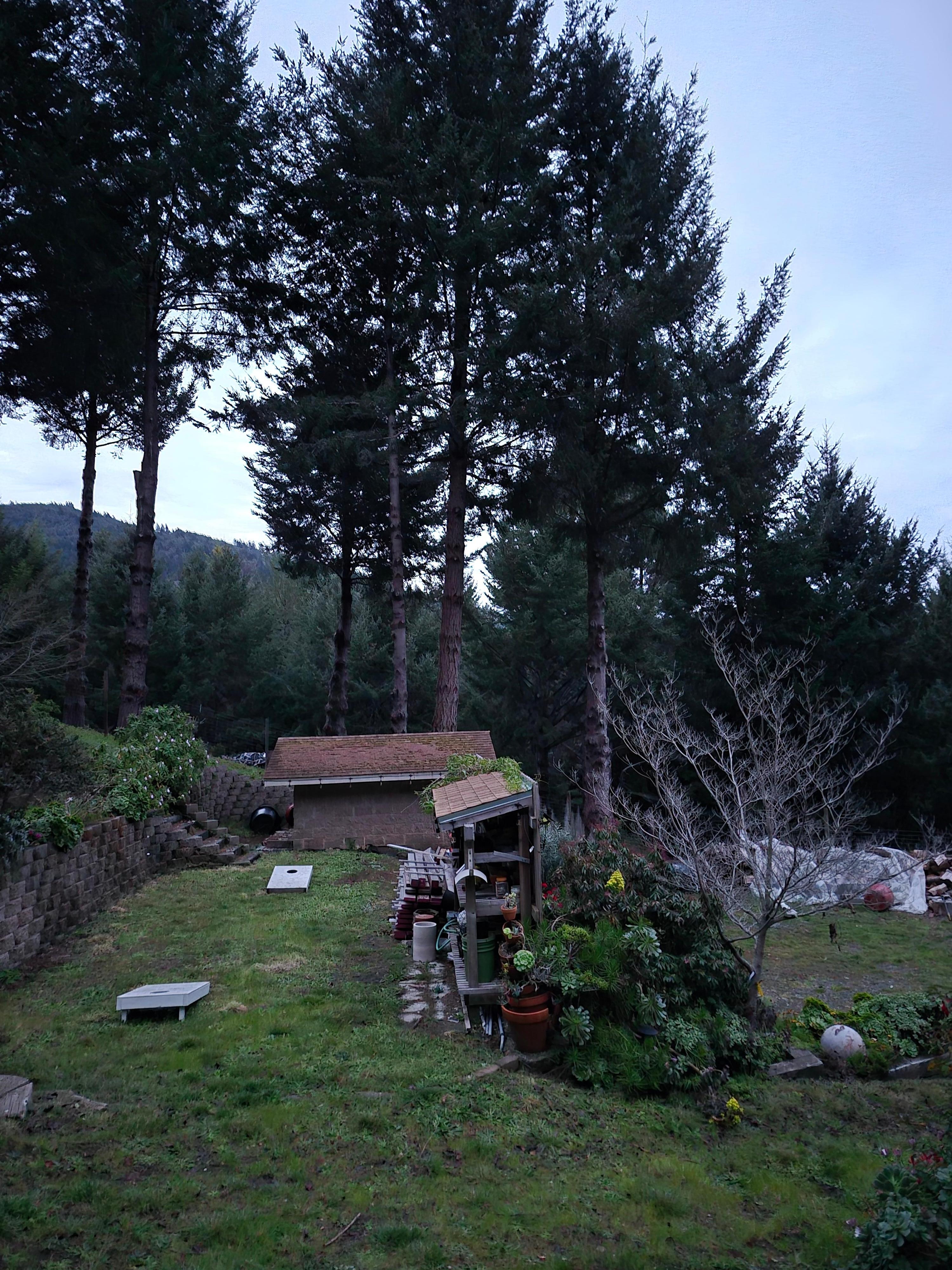 Cornhole and garden onsite.