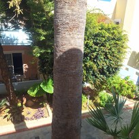 View from balcony
