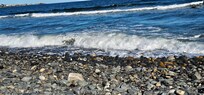 Long Sands