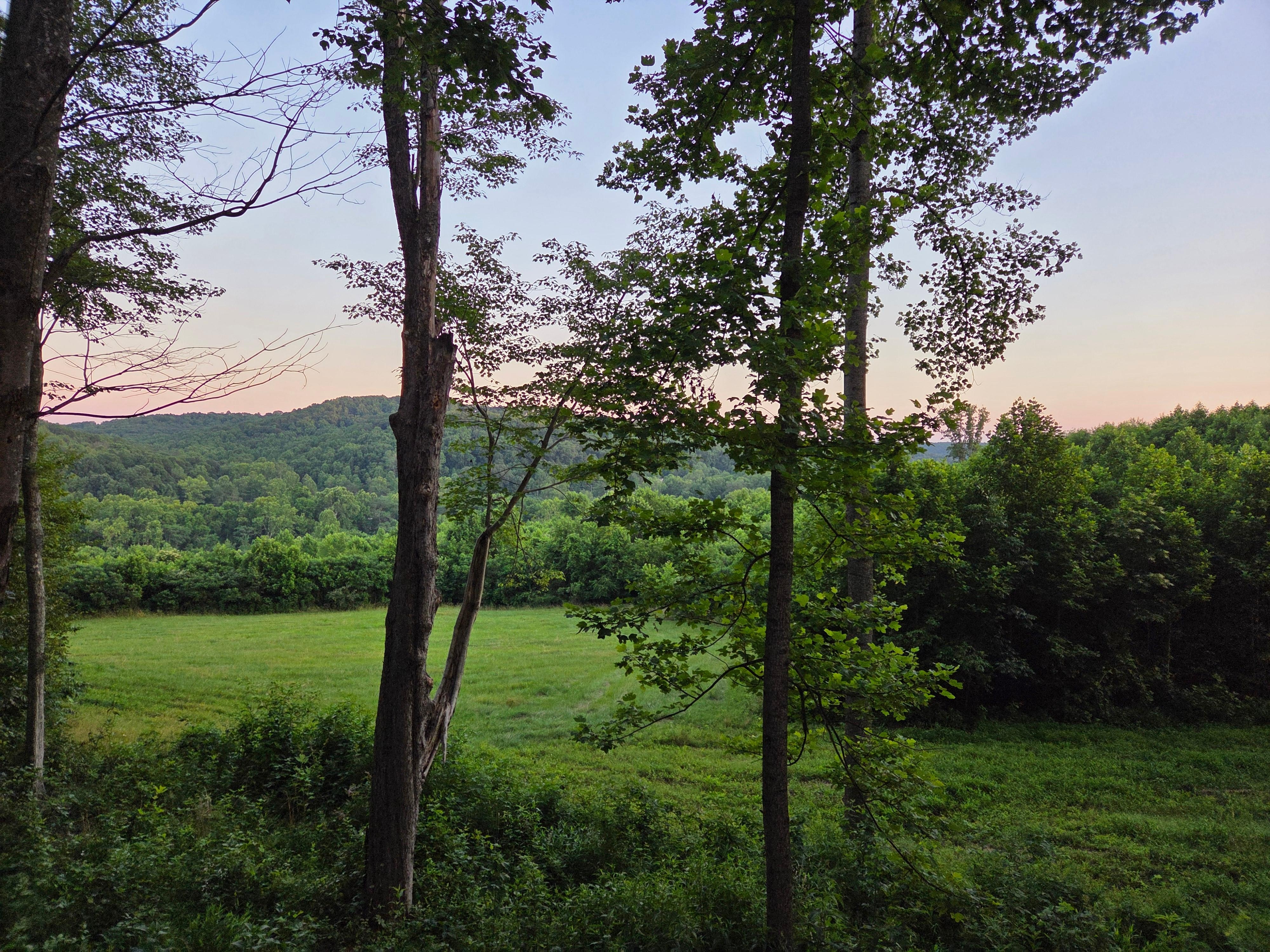 Our view from the back deck.