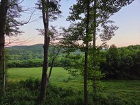 Our view from the back deck.