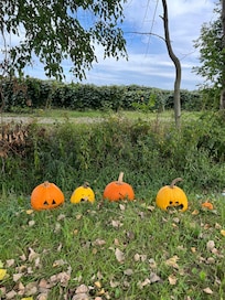 View across the road from us 🎃🎃