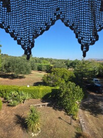 View from the room