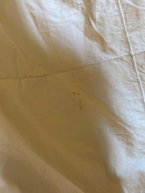 Brown stain on duvet cover