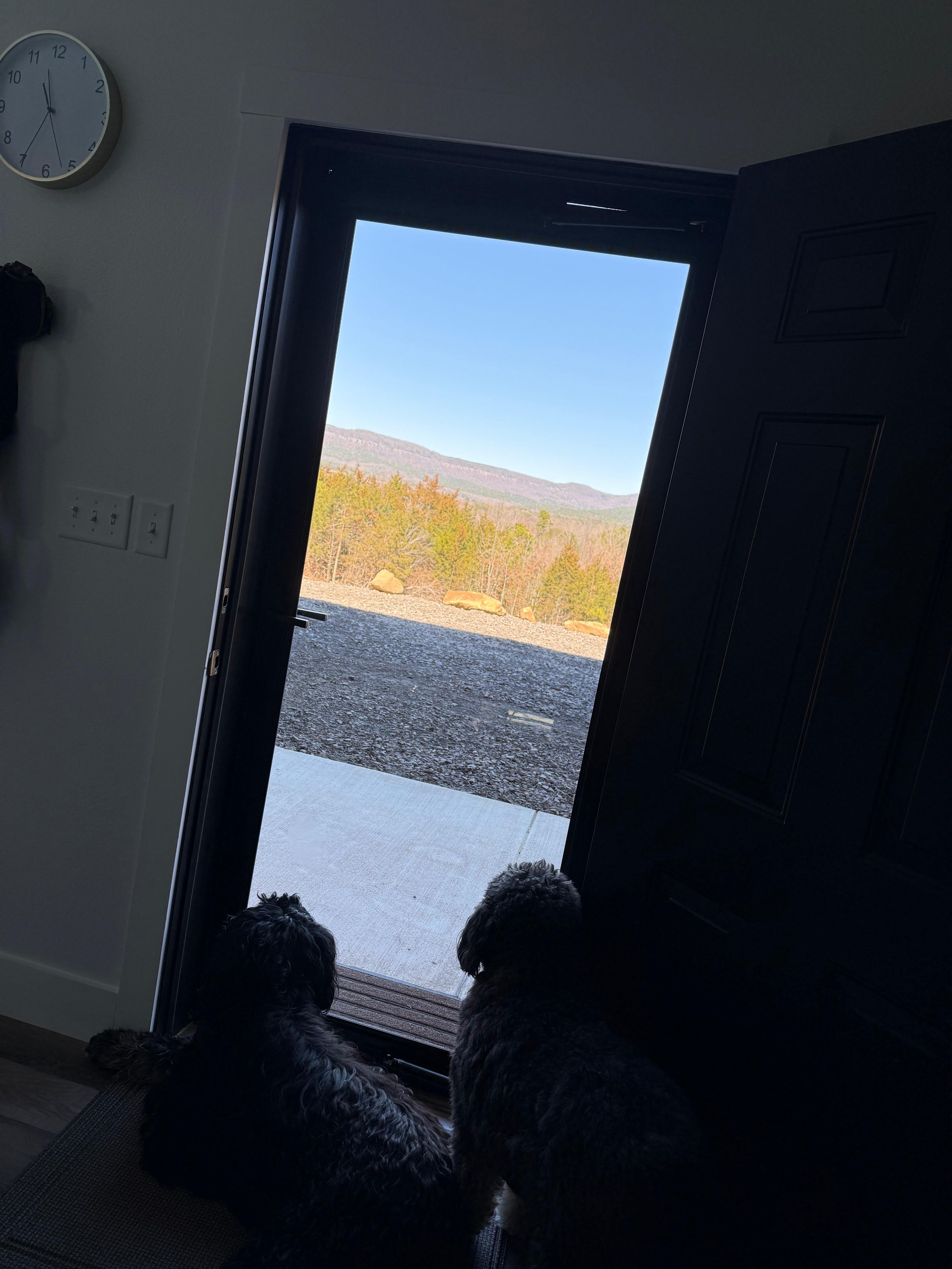 Our boys’ new favorite view!! 