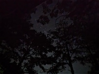 Night sky view through the pine trees on the deck.