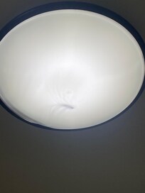 Dead centipede in bathroom light