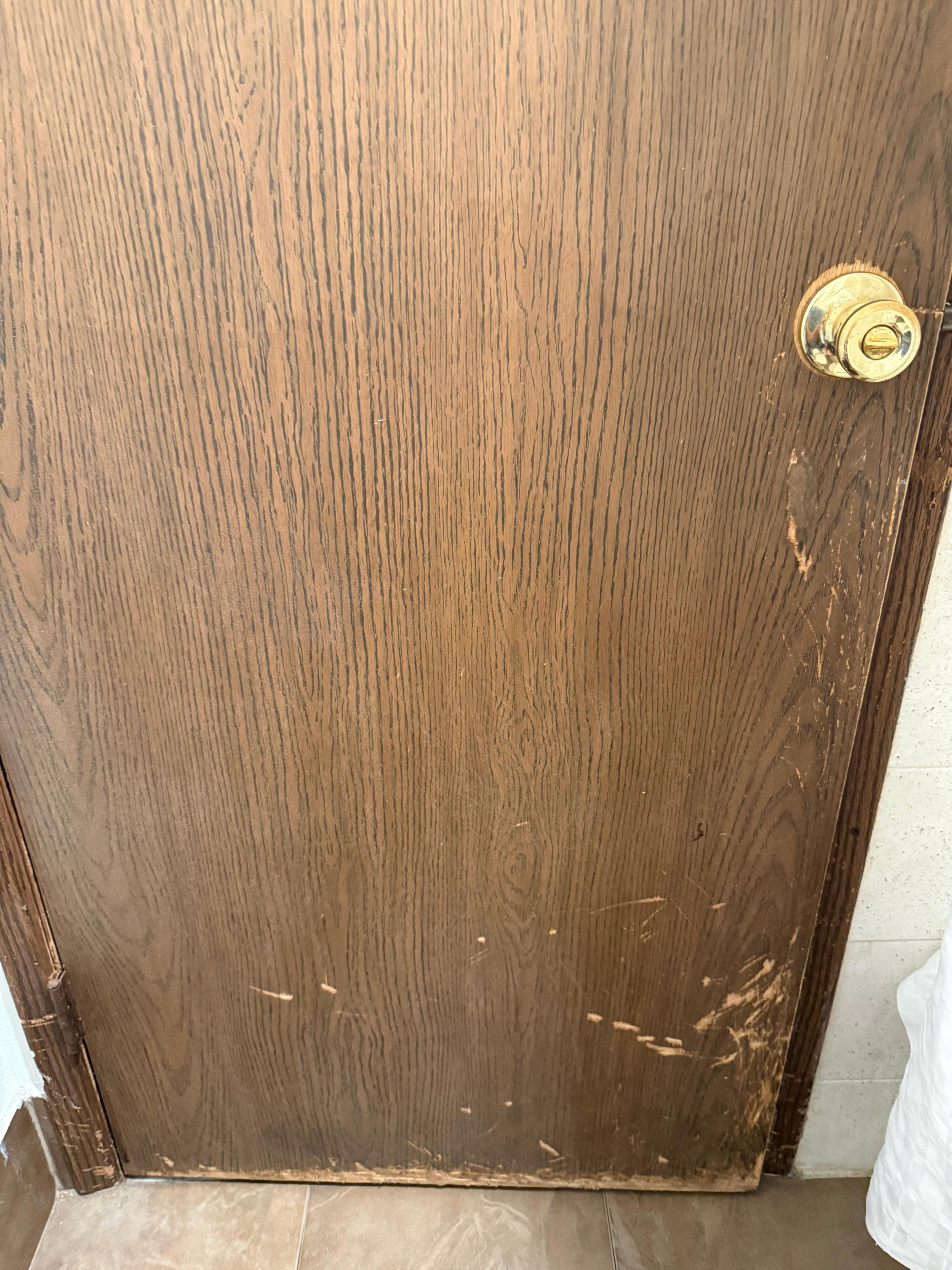 Bathroom door 