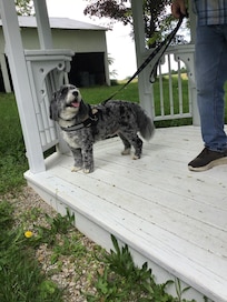 Cooper was just as pleased as we were.