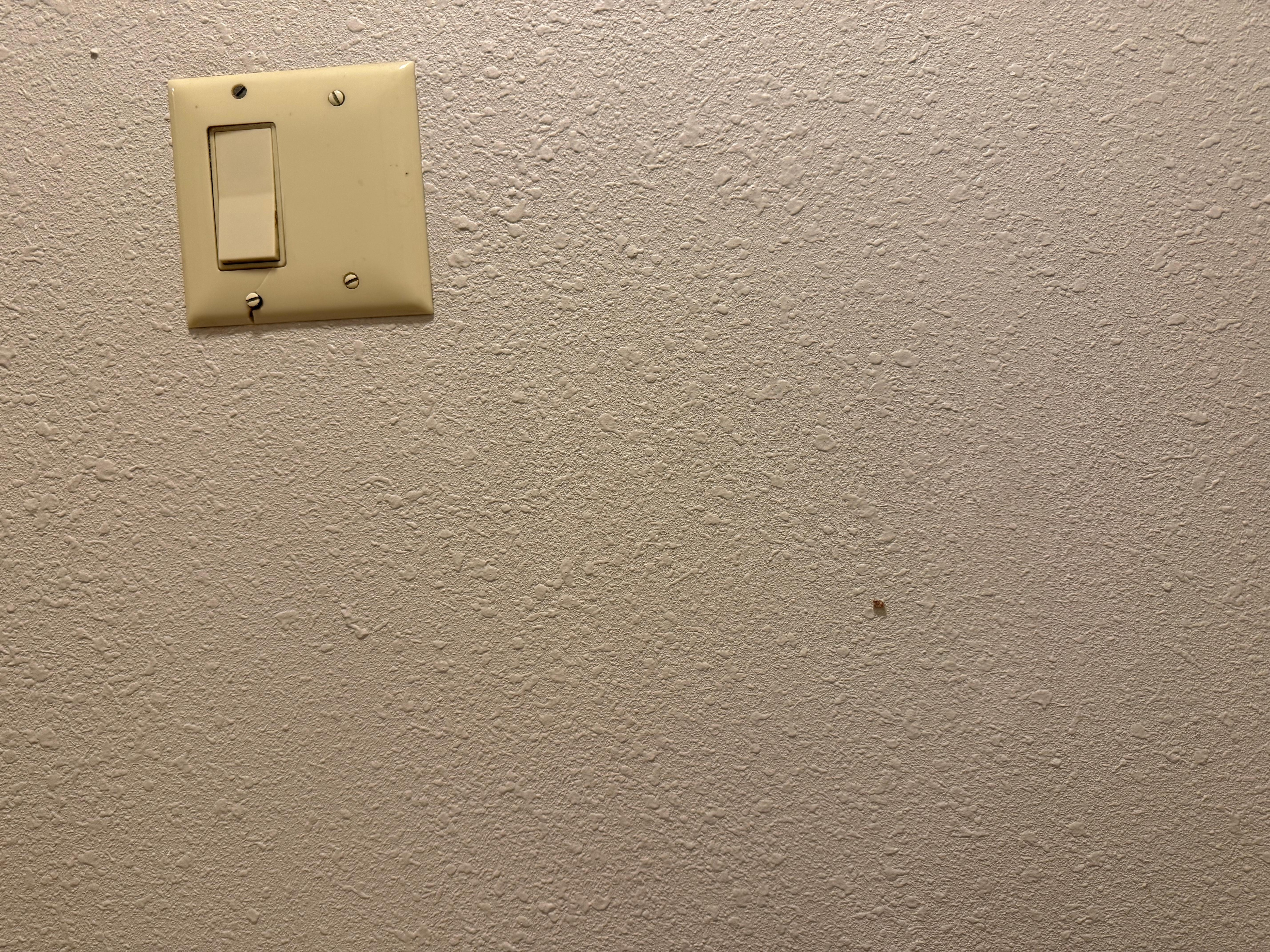 What the heck is that on the wall?!?