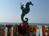 The seahorse and the boy