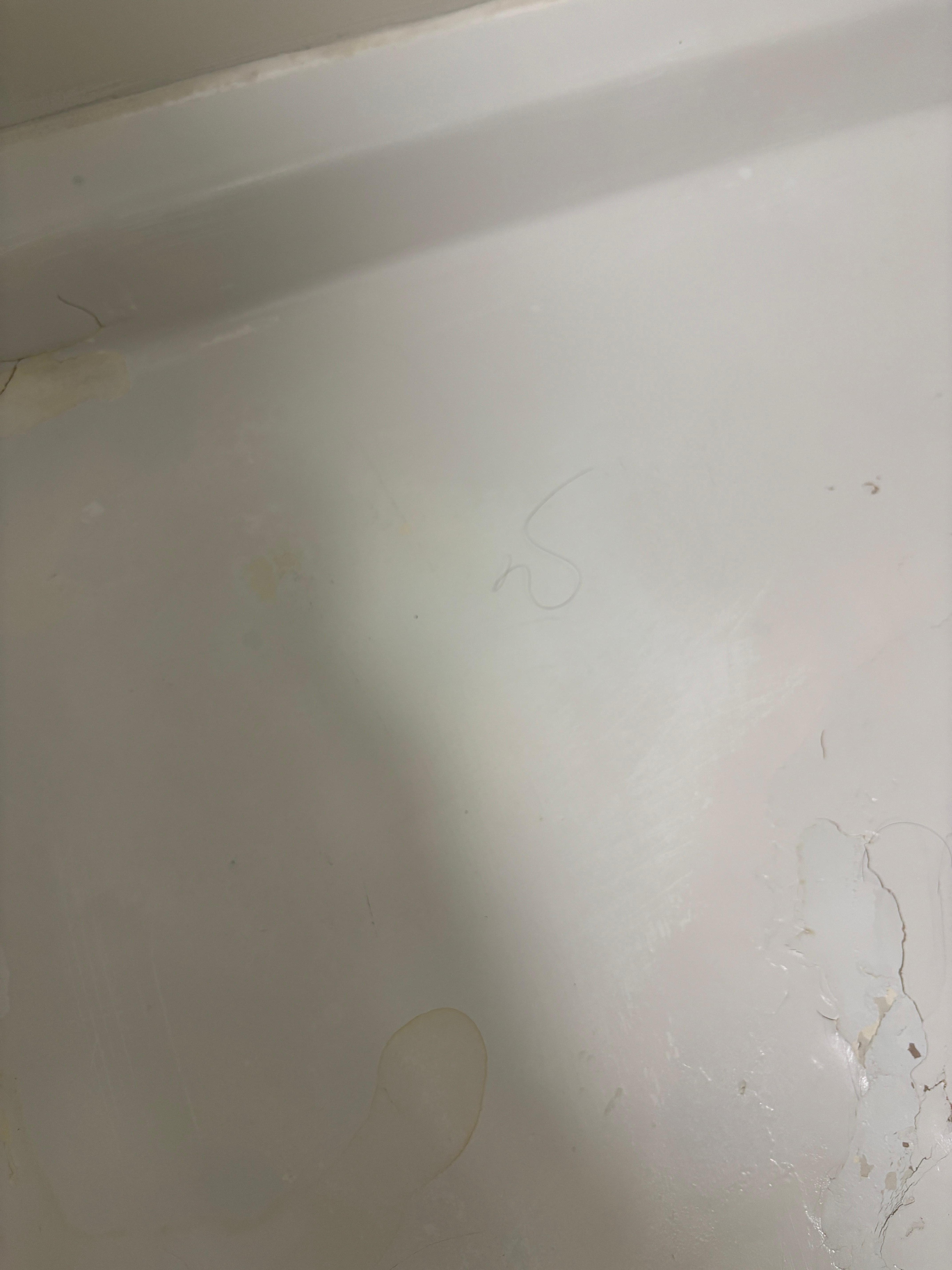 Cracked shower and hair on floor