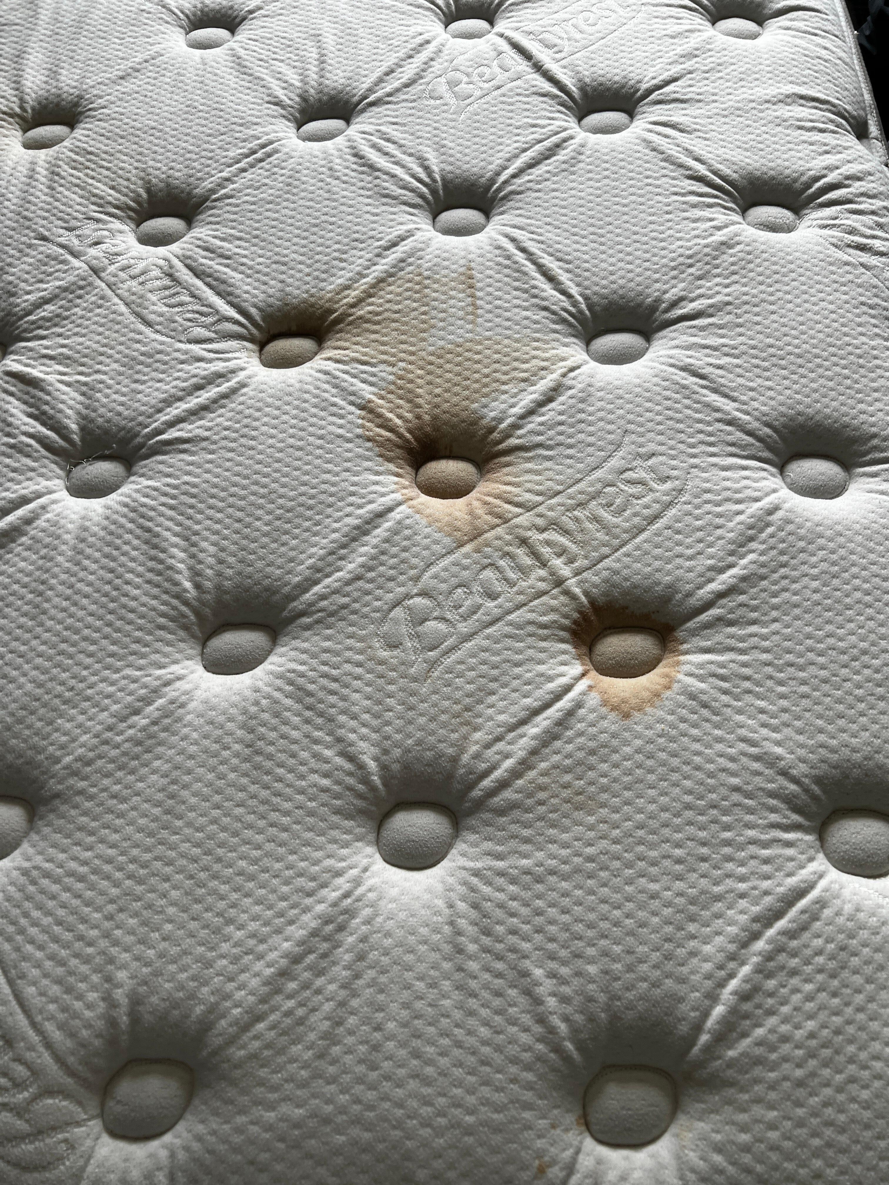 red stain on mattress (looked like blood)