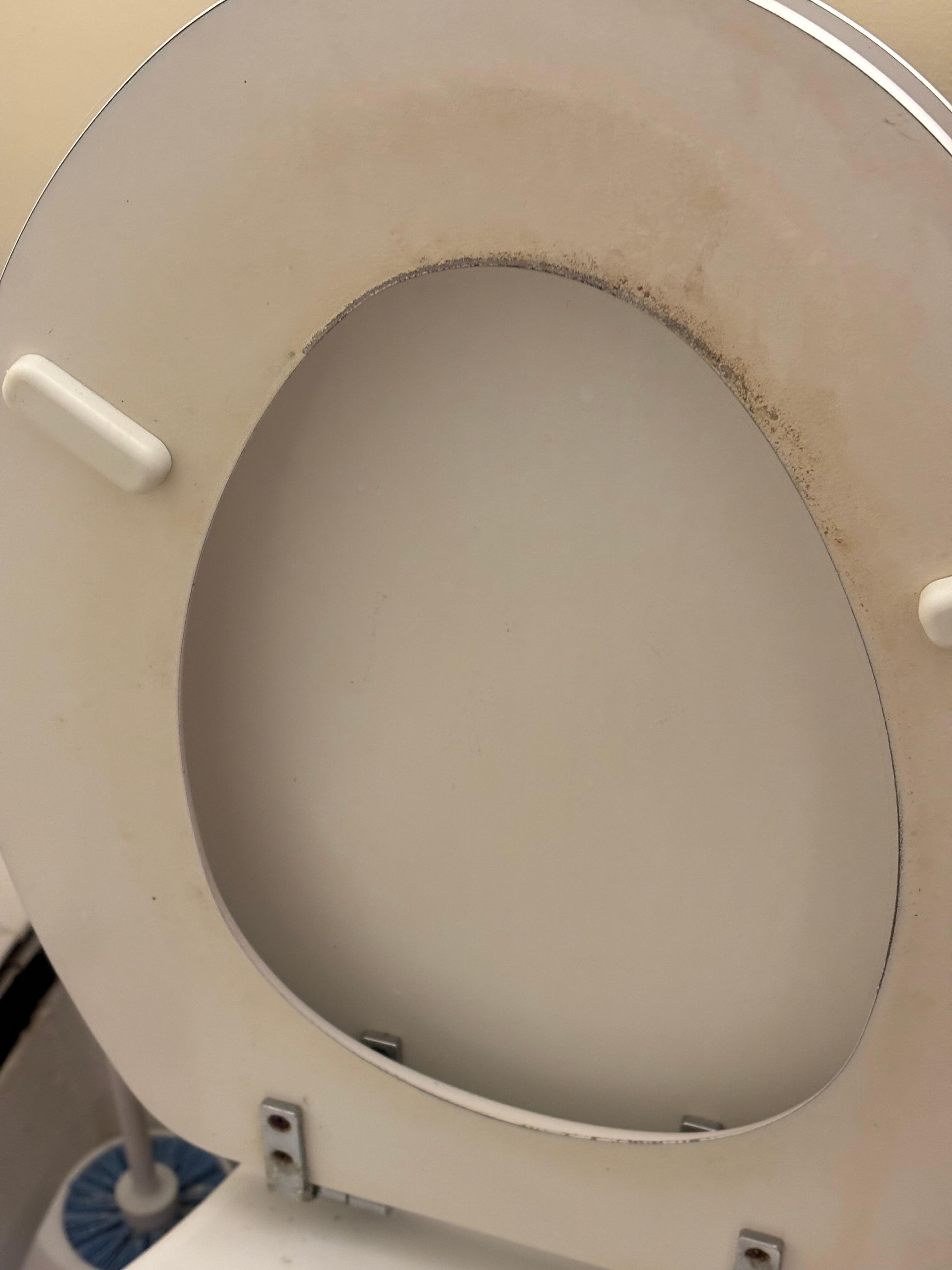 Worn out toilet seat