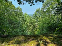 make sure to take the scenic overlook trail.