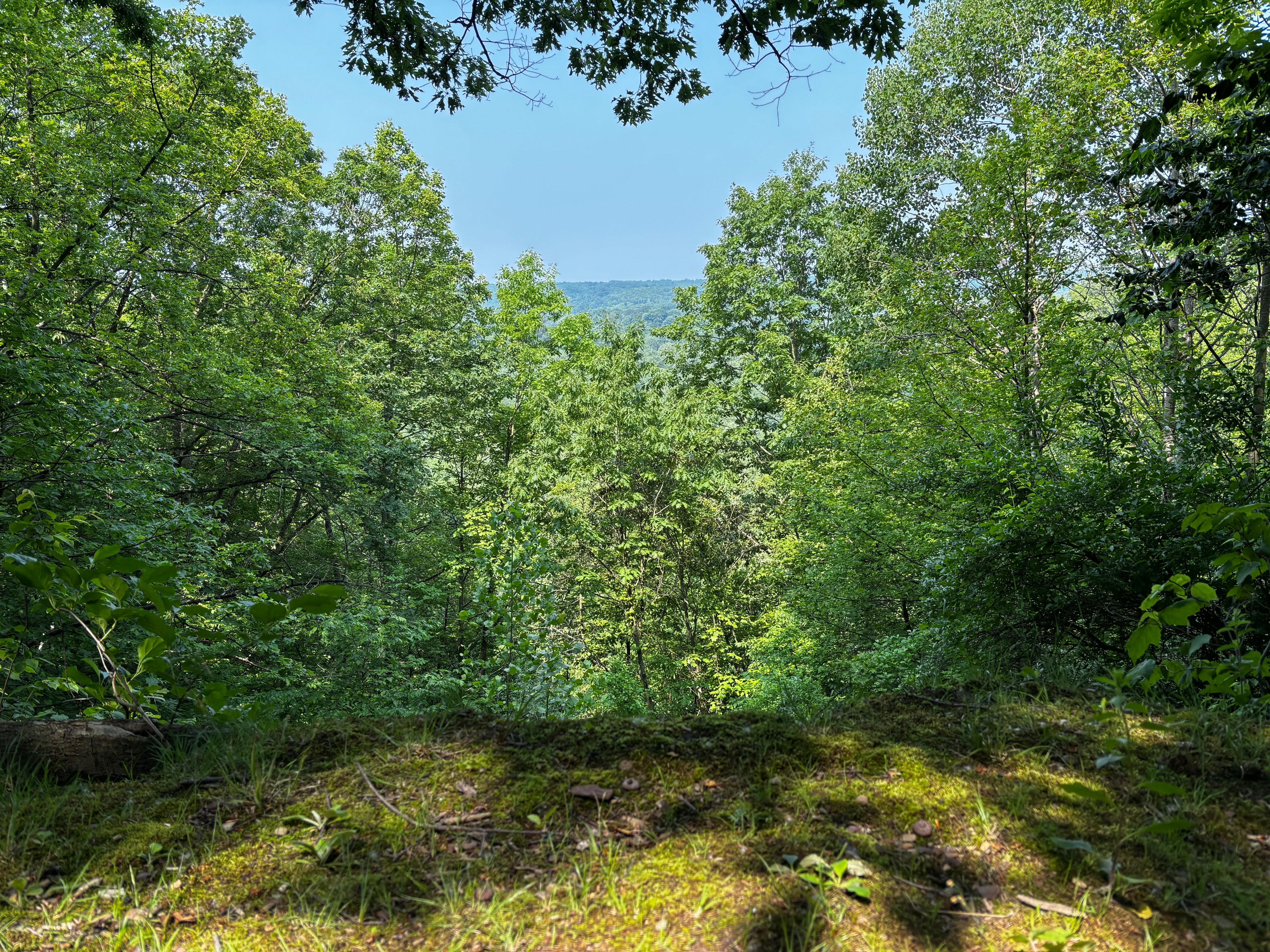 make sure to take the scenic overlook trail.