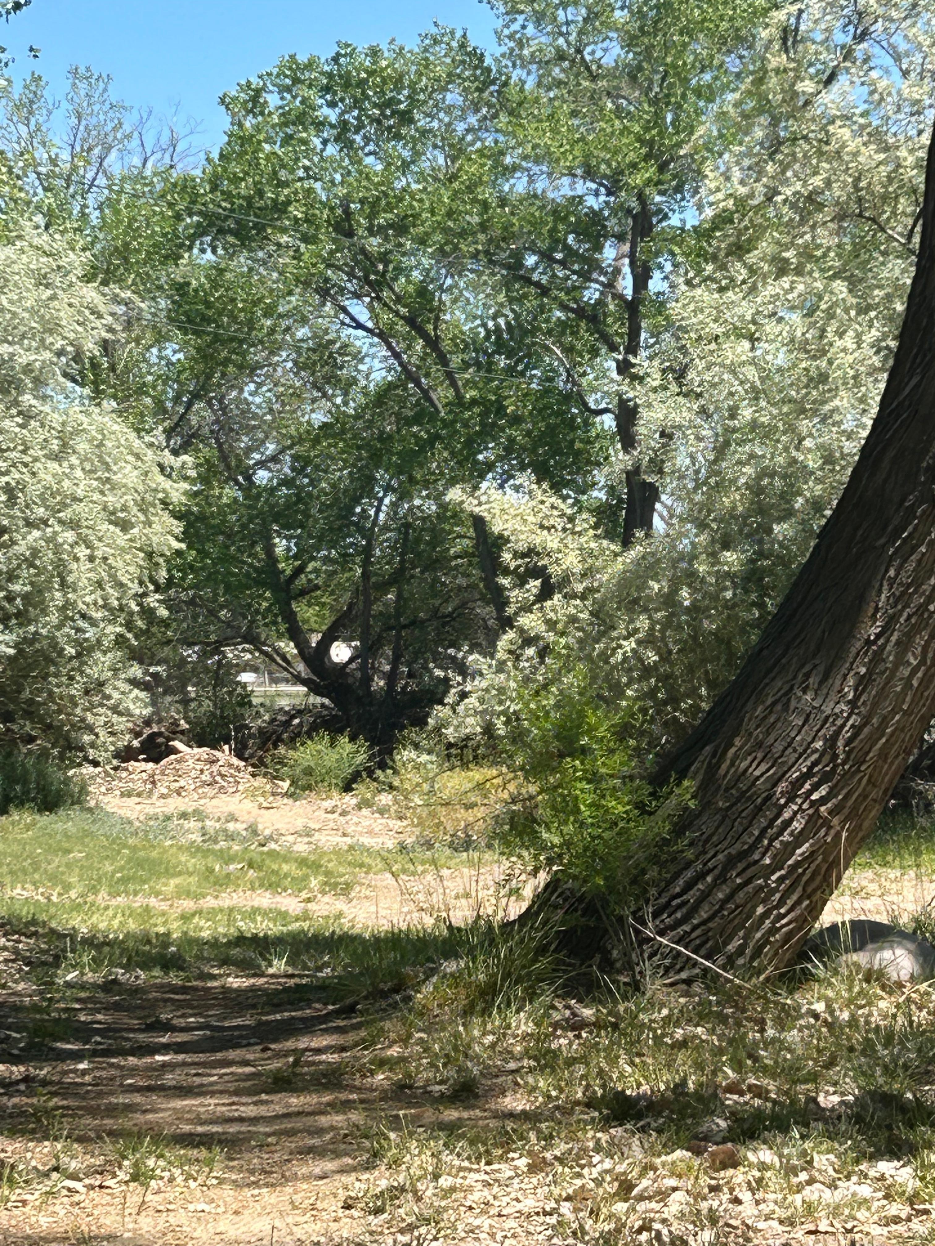 Property below cabin