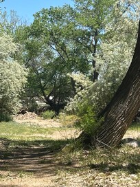 Property below cabin