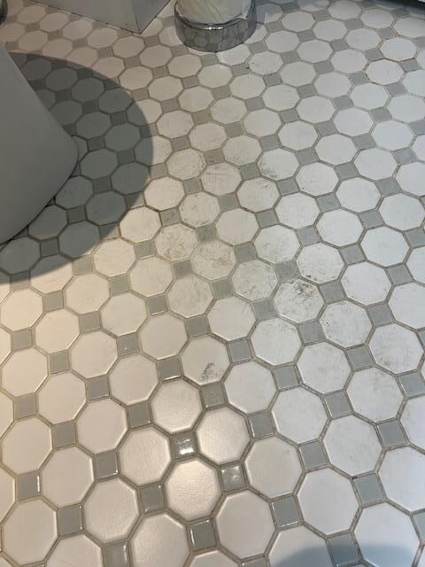 Nasty bathroom floor. I have more pictures, but you get the idea